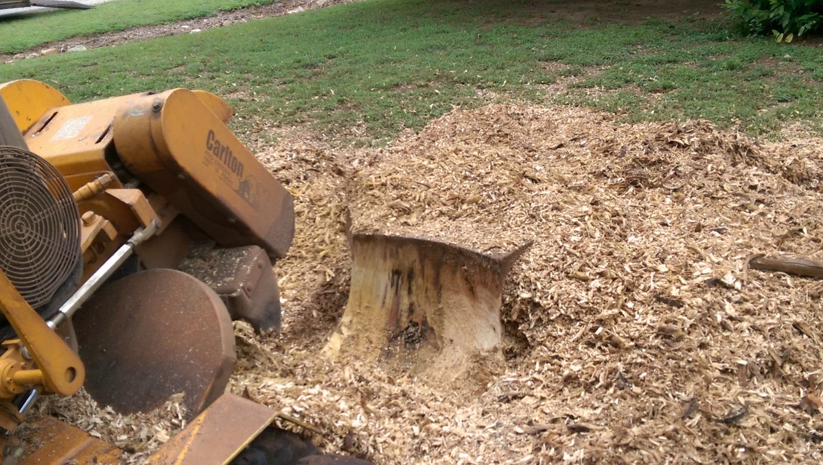 Stump Grinder grinding a stump.