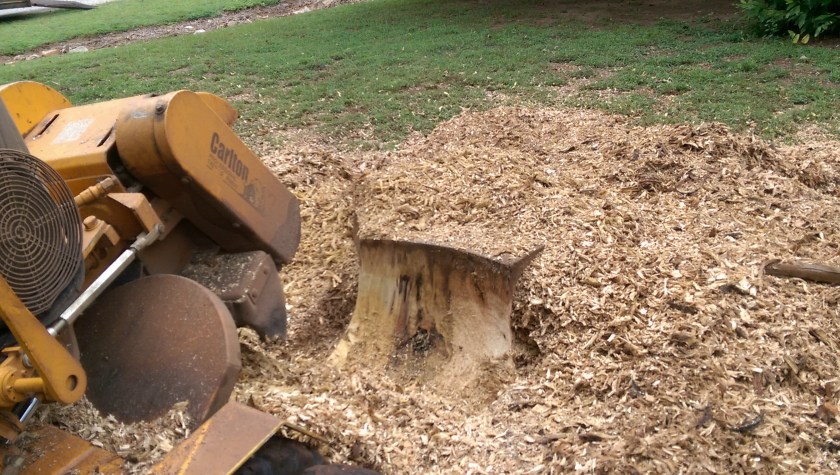 Stump Grinder grinding a stump.
