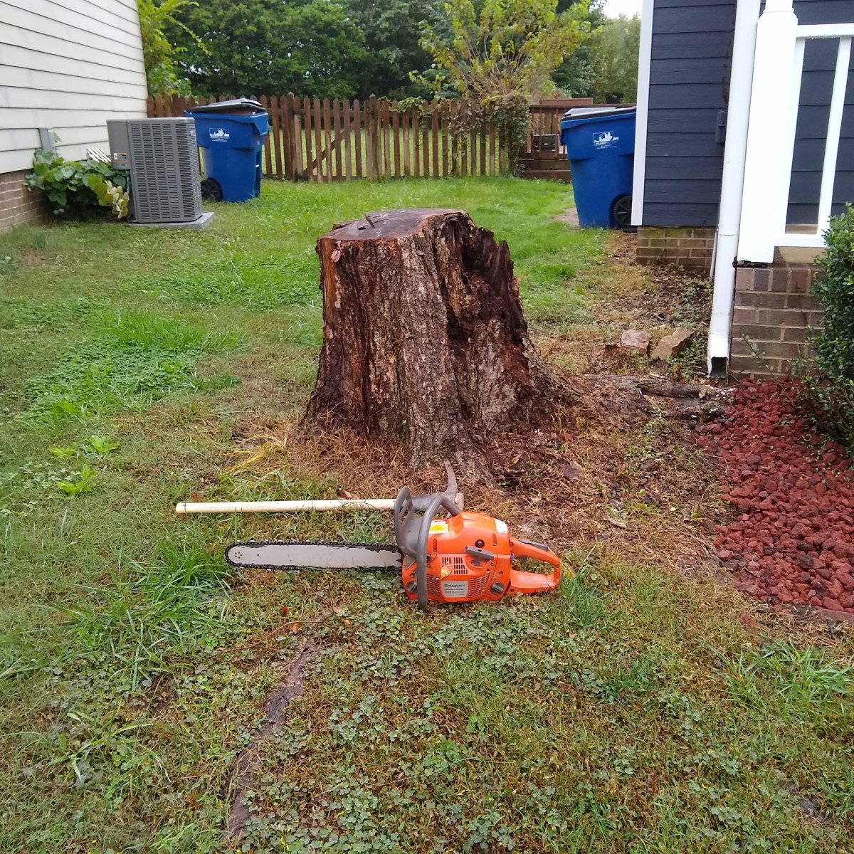 Fast Stump Grinding Services in Raleigh and Near&nbsp;Me